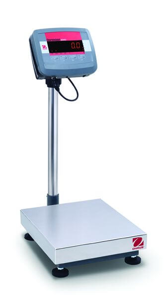 D24PE30FR Bench Scales