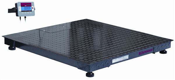 DF32M3000BX Floor Scales