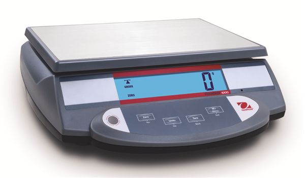 R11P15 Bench Scales
