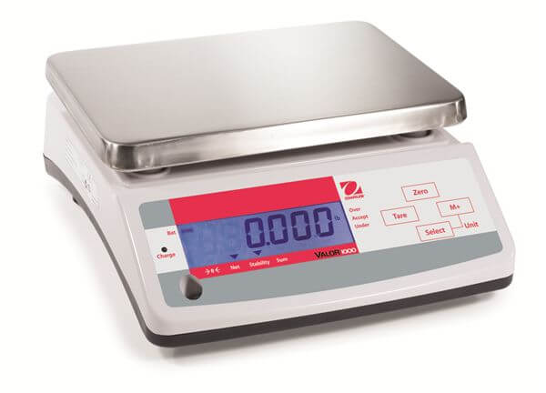 V11P6 Bench Scales