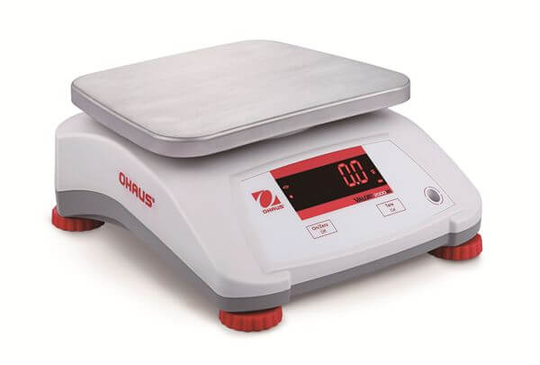 V22PWE6 Bench Scales