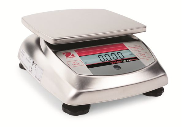 V31XH4 Bench Scales