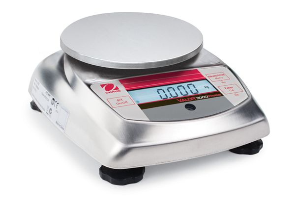 V31XH402 Bench Scales