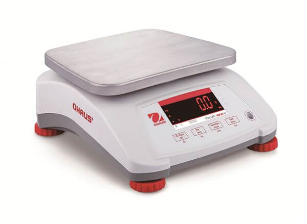 V41PWE6T Bench Scales