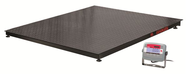 VE3000L31P Floor Scales